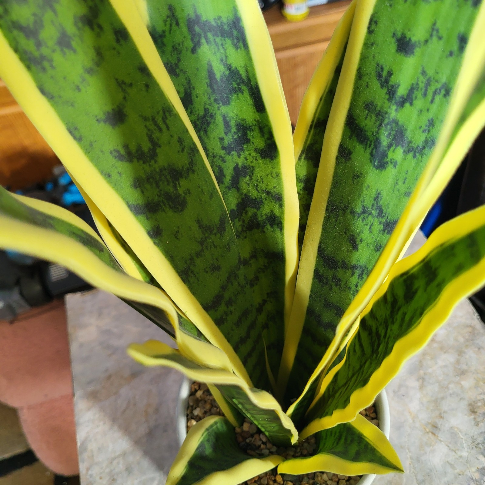 Artificial Snake Plant Potted, Sansevieria (Real Looking) 20″ Tall Porcelain Pot