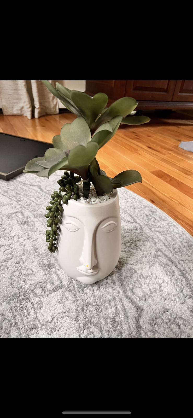 Mask Face Planter with Artificial Succulent – No Water Needed!