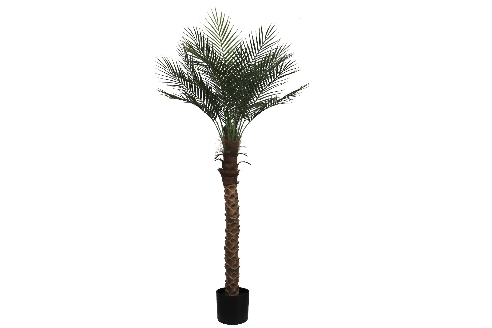 2 Pack 5FT Artificial Coconut Palm Tree, Fake Tropical Palm Plant Indoor Outdoor