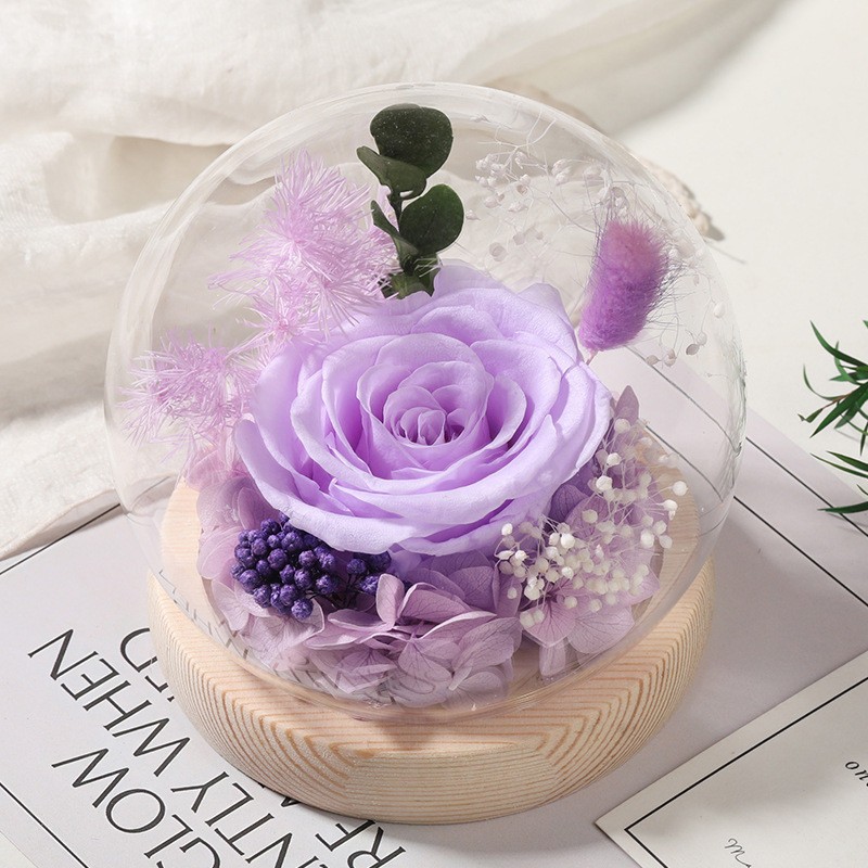 Long-Lasting Real Rose Flower, Unique Preserved Floral Gift for All Occasions