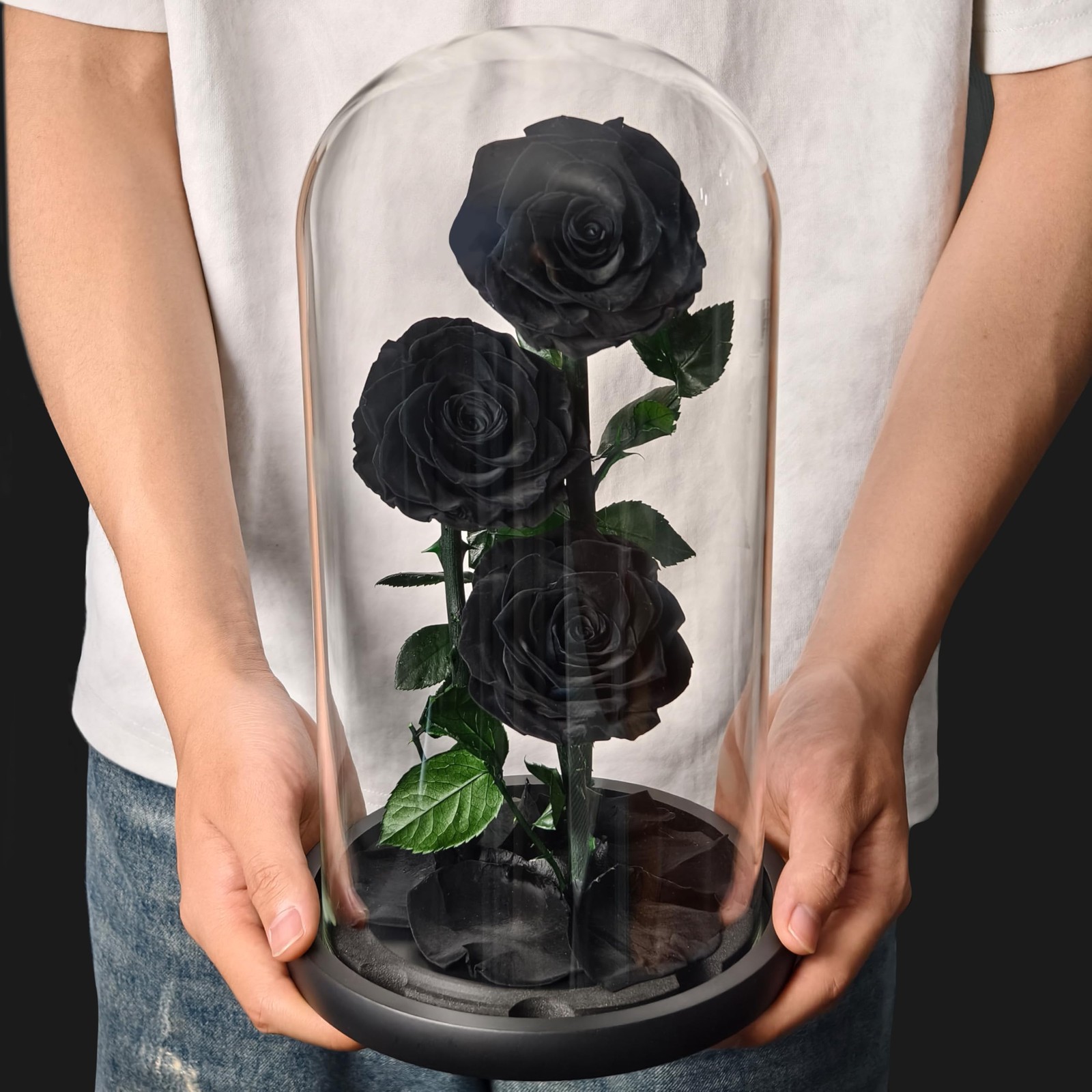 Cyrabota Preserved Roses Black Roses in Glass Dome, 12.3inch Forever Preserve…