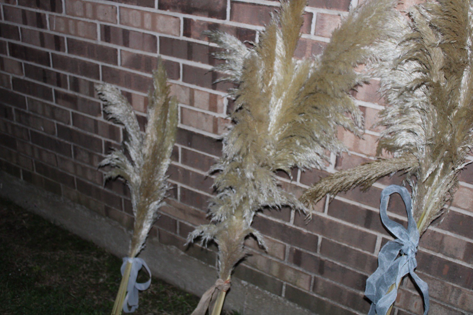Pampas Grass Dried Stems 10-Pack, 40″ Natural Decor for Floor Vase