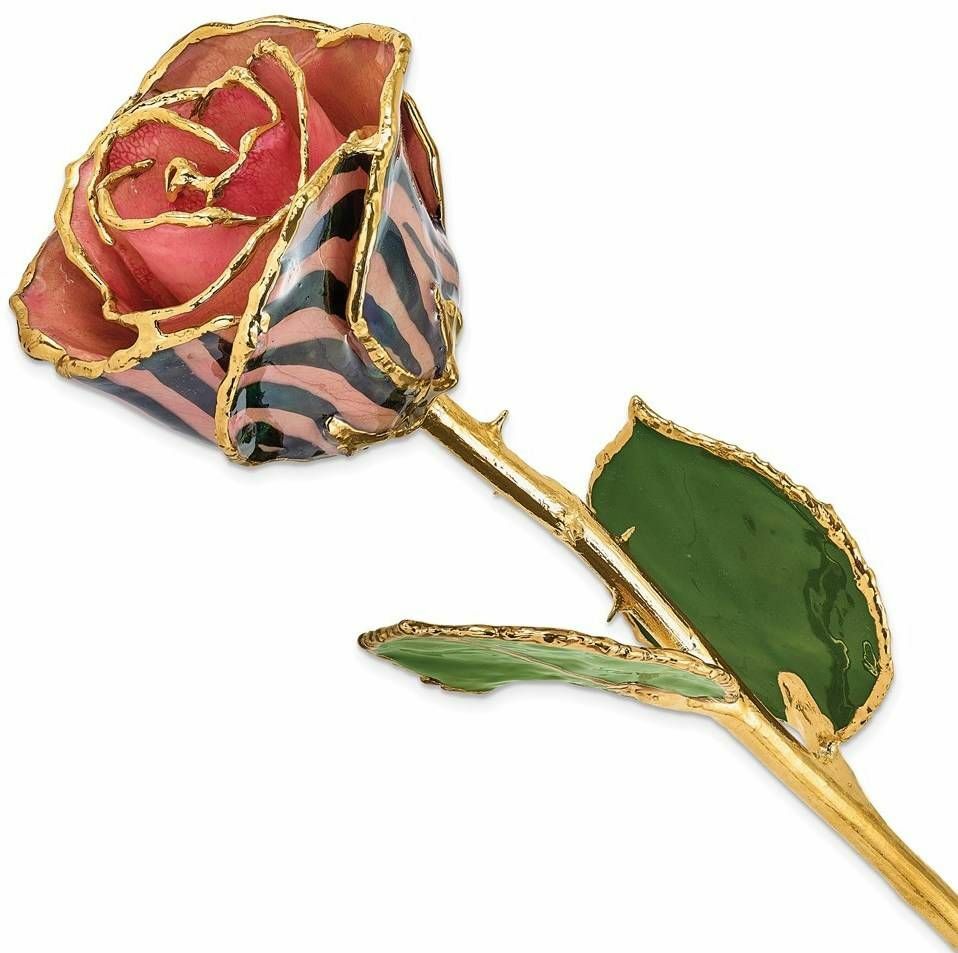 Lacquer Dipped Gold-Tone Trim Pink & Black Chameleon Rose