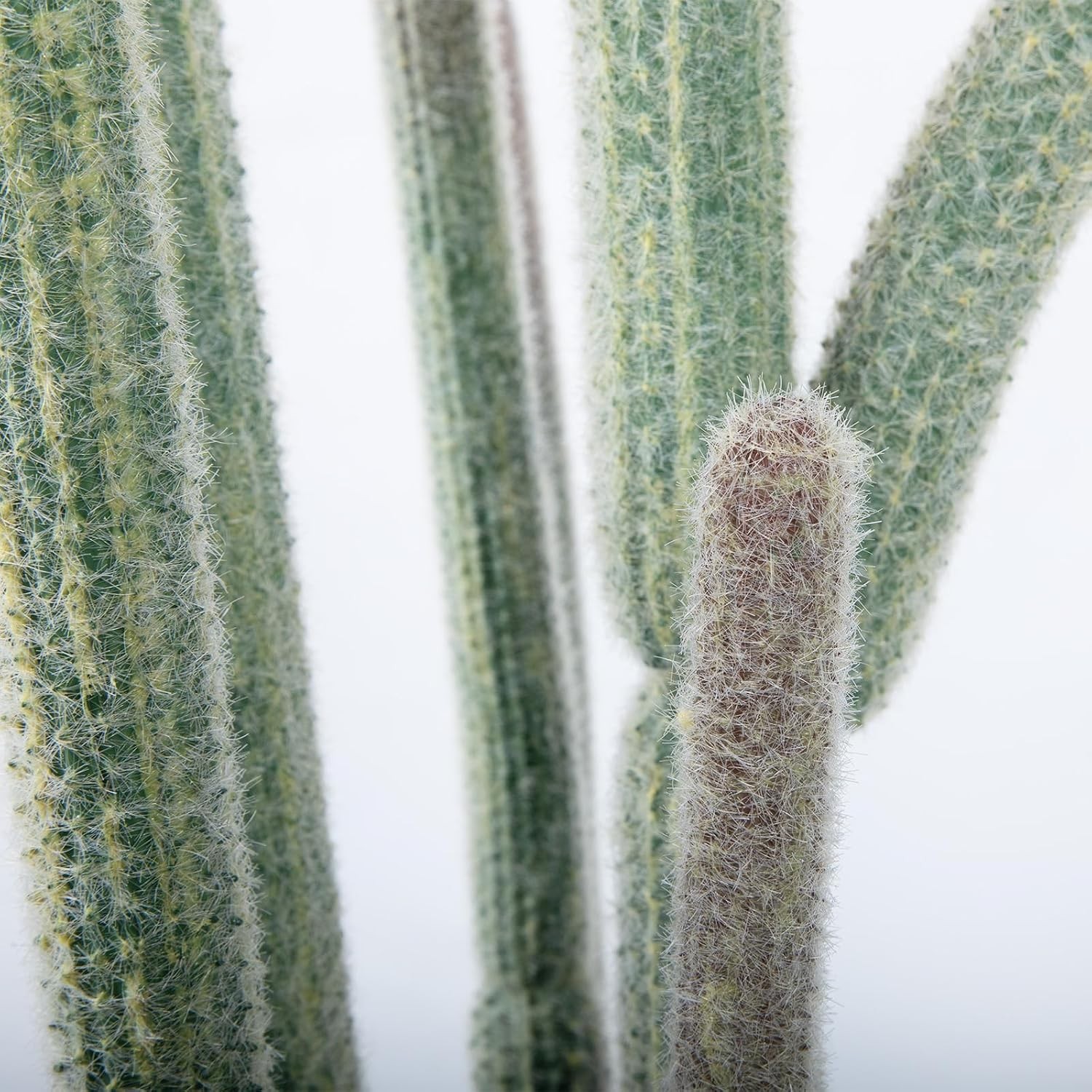 Faux Cactus Artificial Plant 62in Tall Realistic Texture