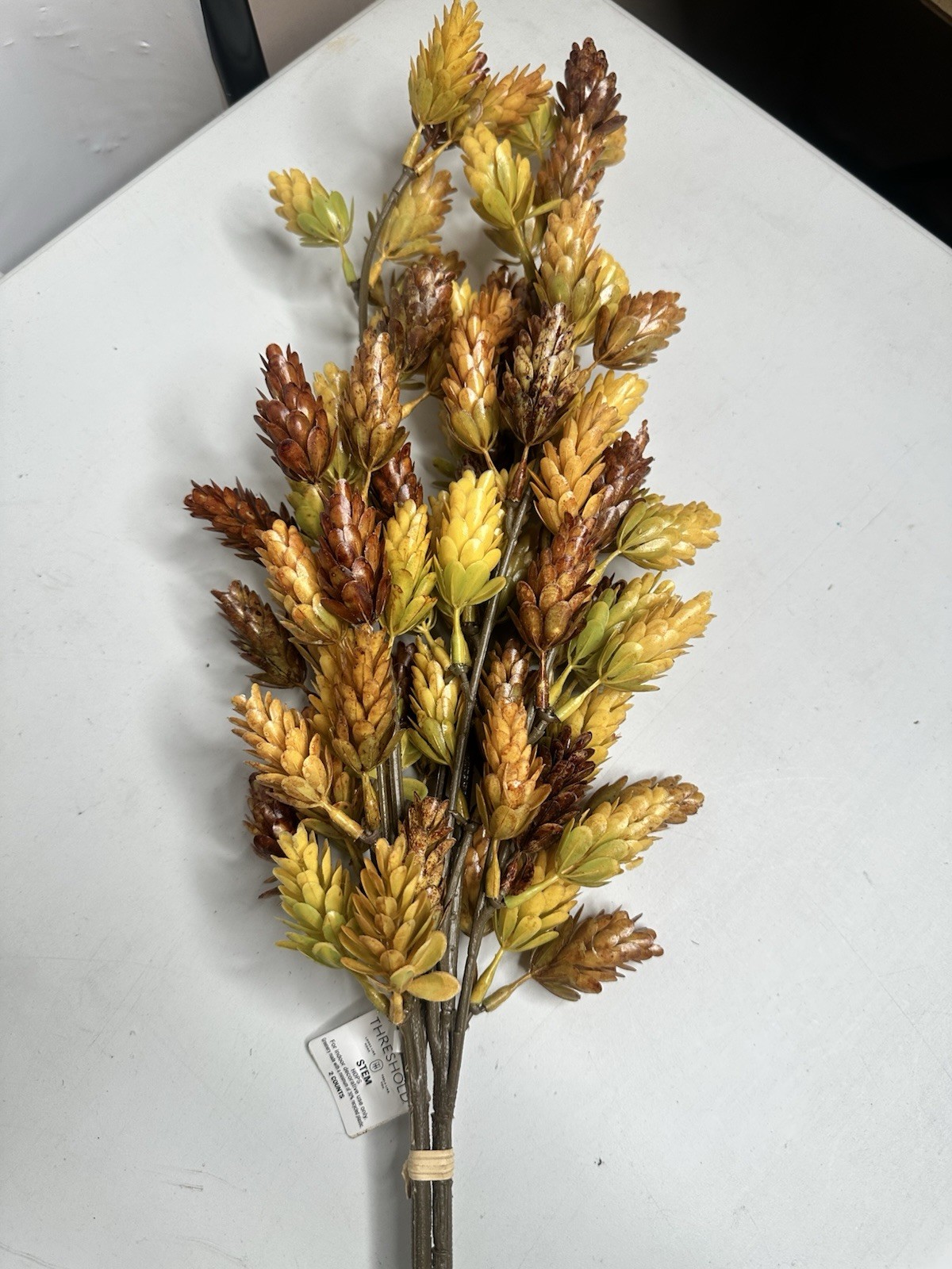 Faux Stem Hops Thistle 2pc Set Indoor Decorative Home Threshold With Magnolia