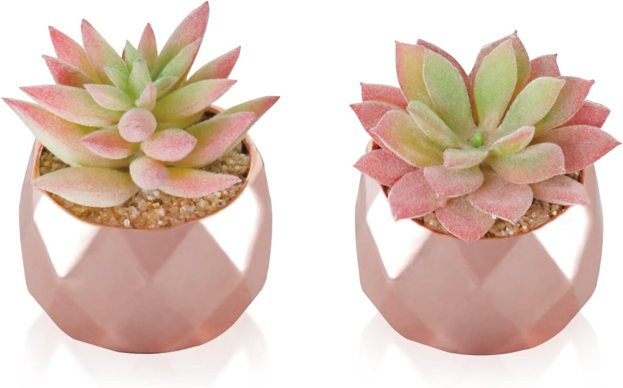 Artificial Faux Succulents in Pots, Mini Rose Gold Fake Plants for Women Desk…
