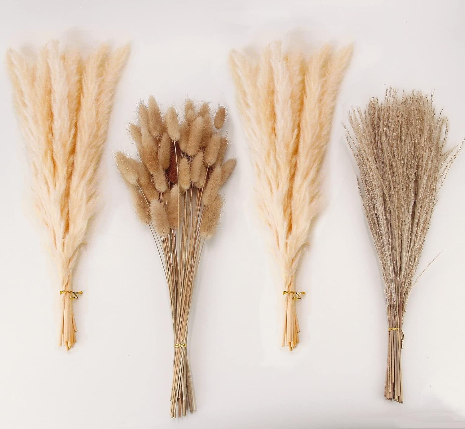 Fluffy Dried Pampas Grass & Bunny Tails Bundle – Perfect for Cozy Home Decor