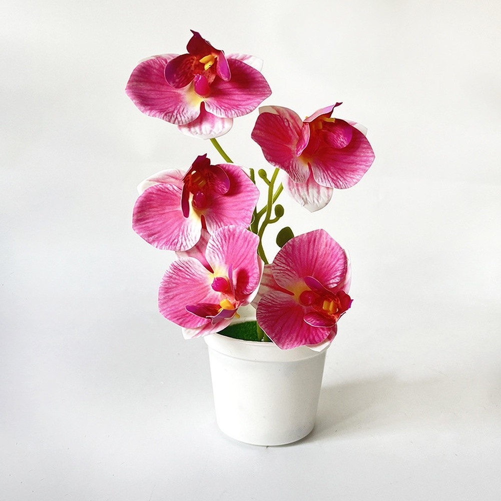 Artificial Orchid Flowers 5 Pcs 21cm Tall for Living Room Bedroom Office Decor