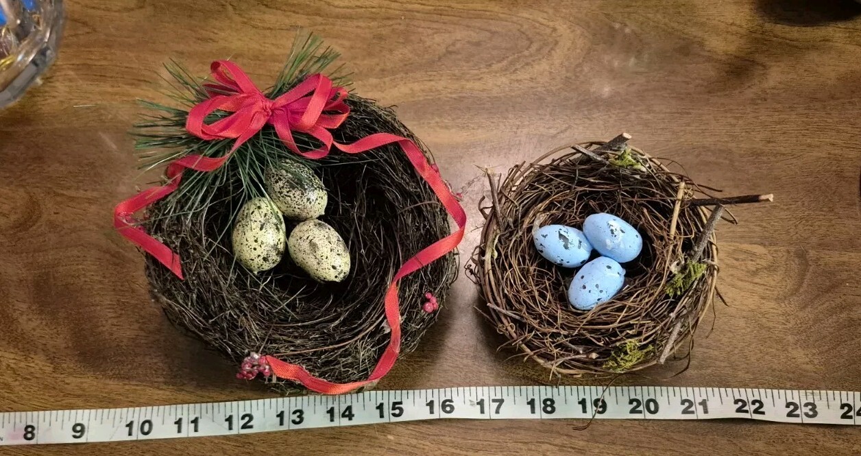 Lot Of 2 Bird Nest Nests With Eggs