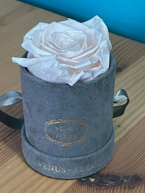 VENUS ET FLEUR FLOWER ROSE SCENTED LE MINI ROUND BOX PRESERVED ROSE DECOR
