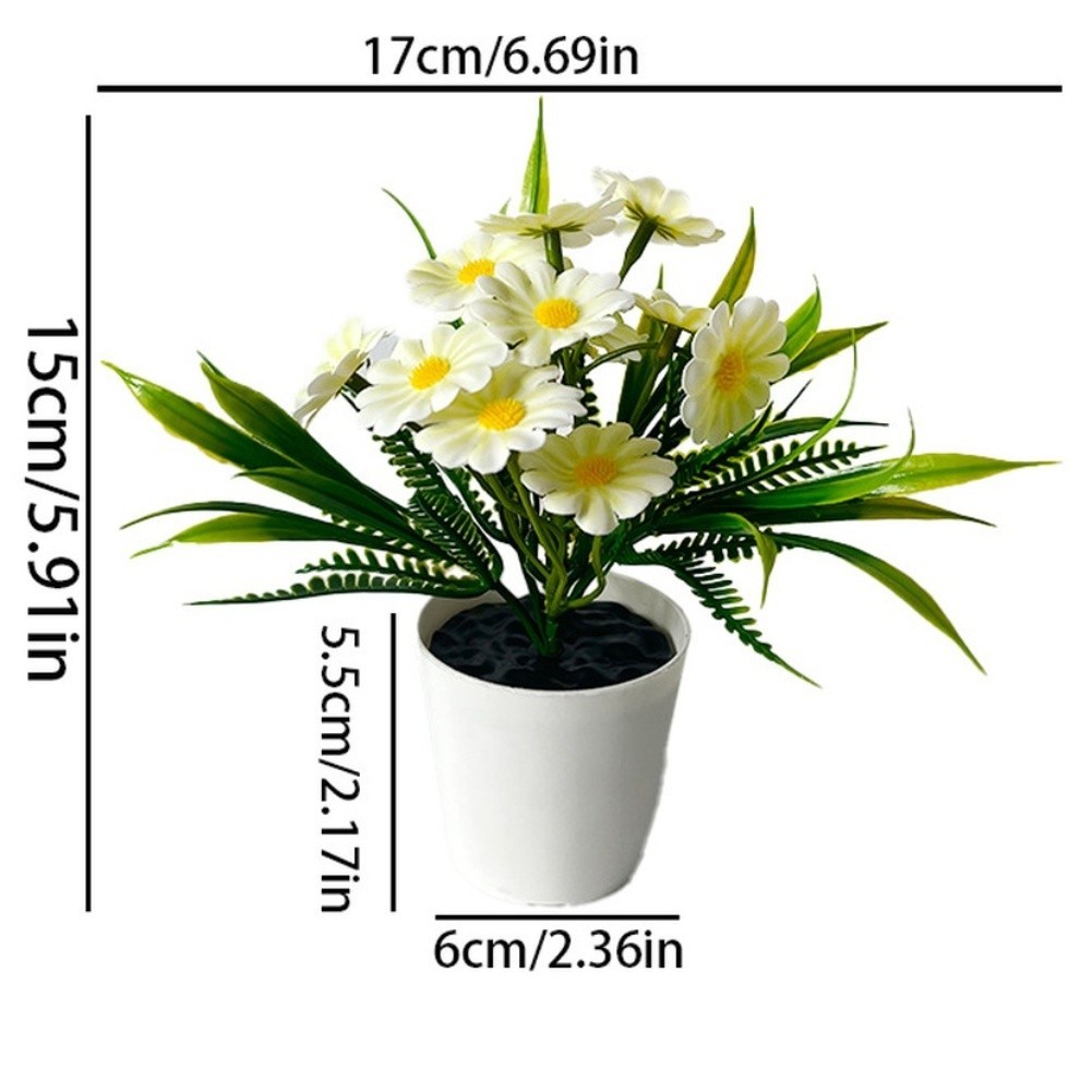 Indoor Chrysanthemum Bonsai Style Plant for Desk Nightstand Table Decor