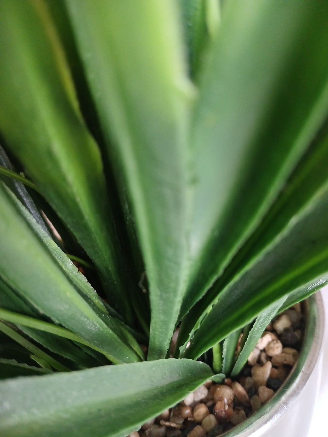 10 Inch Faux Grass Leaf Plant With Chrome Finished Planter