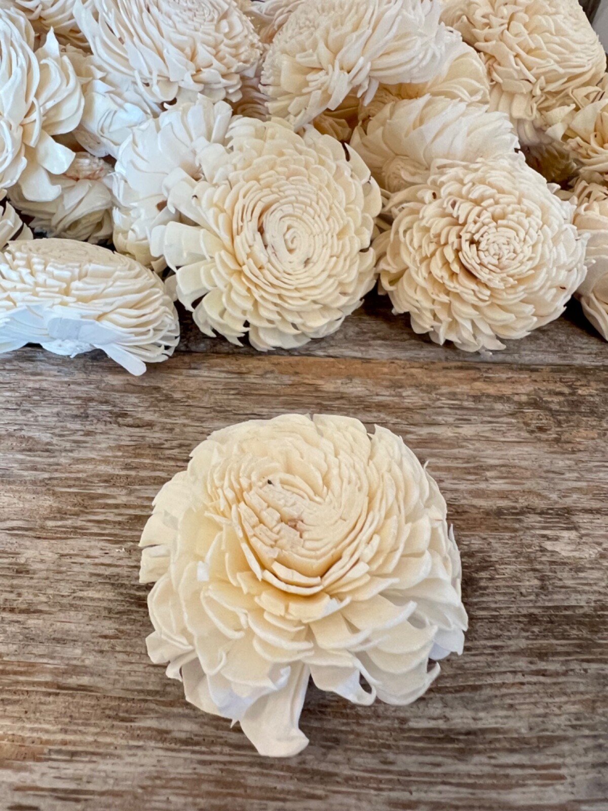 Chorki Belly Sola Wood Flowers – Set of 50 – Craft Flowers