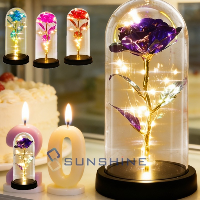 Preserved Gifts Flowers Rose for Women: Rose for Girlfriend Grandma Mom Wife Her