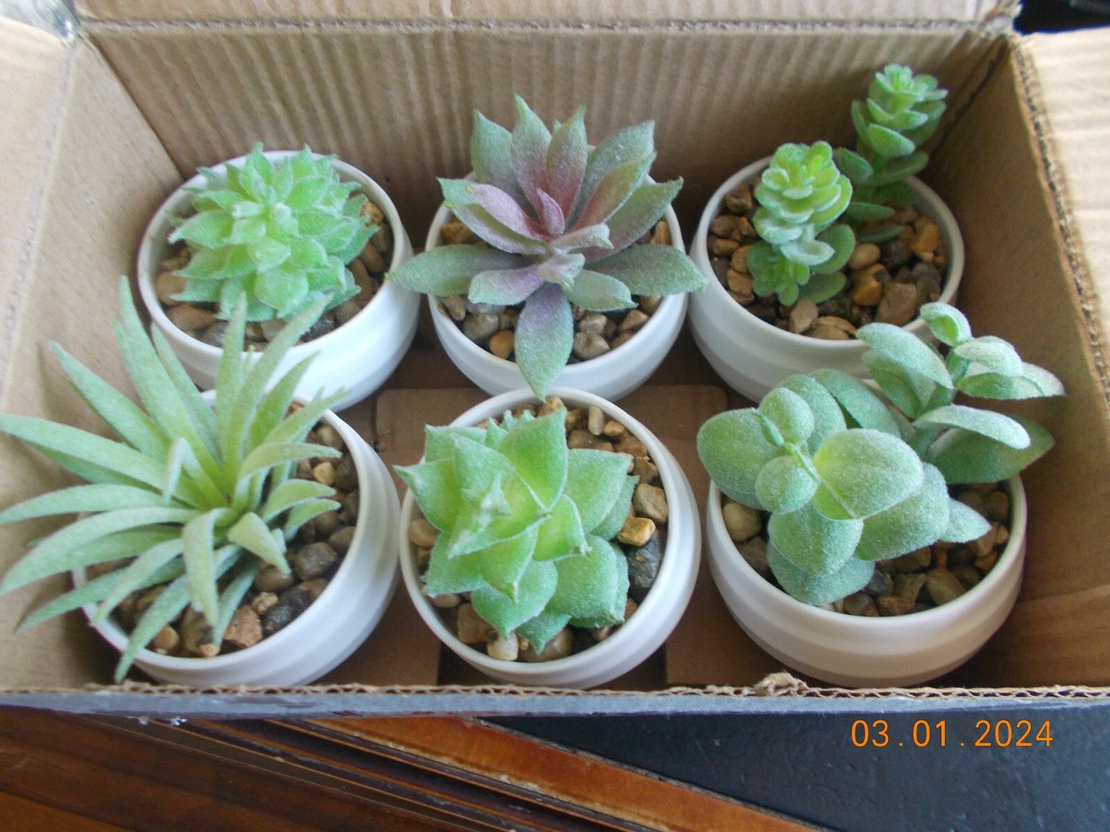 NIOB 6 DerRose 2-1/2″ to 3-1/2″ Faux Succulent Plants in Pots with Stone Fill