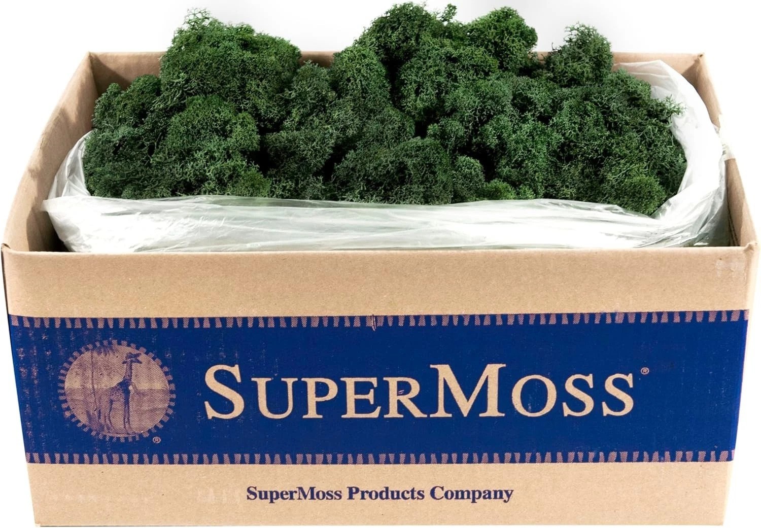 Sustainably Sourced Reindeer Moss 3lbs Forest Green – Vibrant, Soft Texture