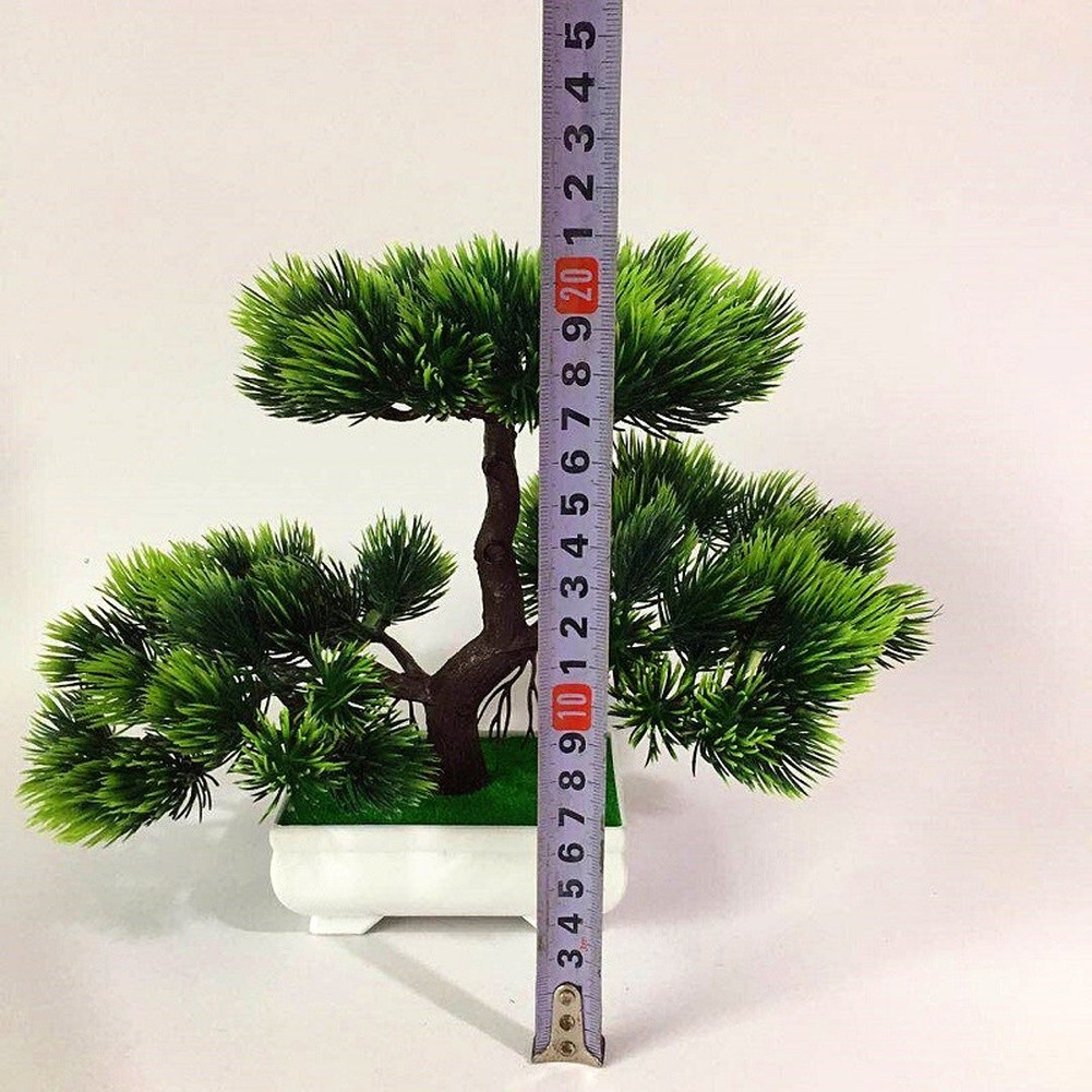 Tiny Pine Bonsai Tree for Decorative Use in Homes Offices Events 26cm Size