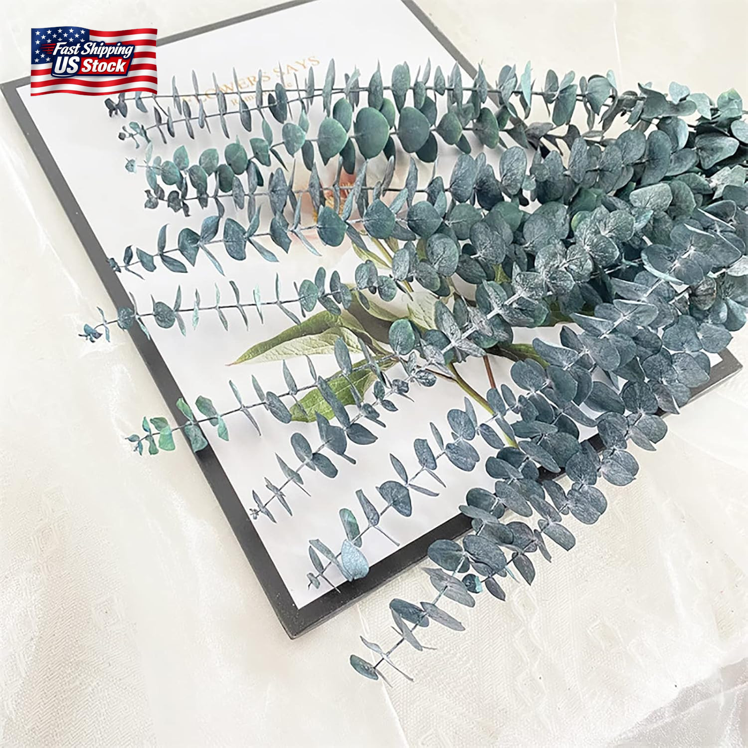 Eucalyptus for Shower 10 Pcs Hanging Dried Eucalyptu Stems 17″ Real Eucalyptus B