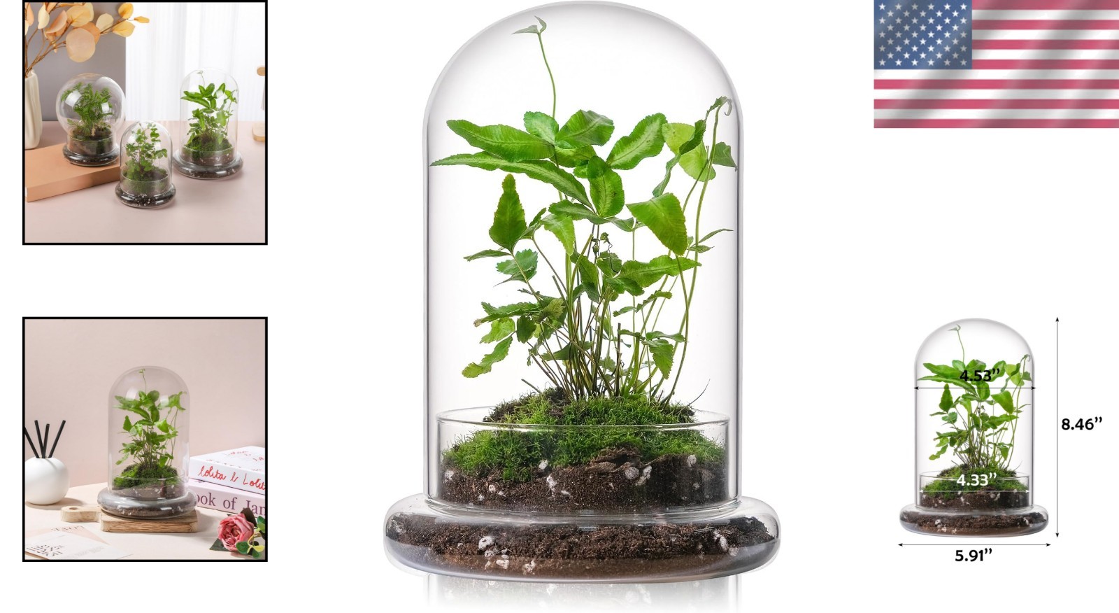 Durable 8” Mini Glass Cloche with Drainage Hole – Perfect for Small Plants
