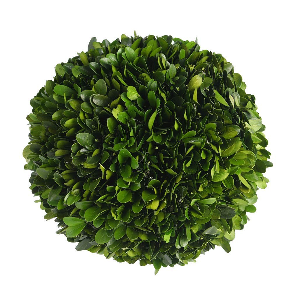 Boxwood Topiary Ball 5 inches Preserved Boxwood Decorative Balls for Wedding,…