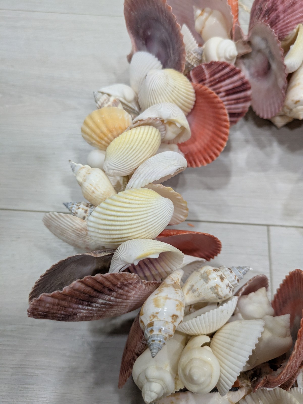 Seashell Door Wreath Beach Cottage Nautical Ocean Coastal Heavy 12″ w Starfish