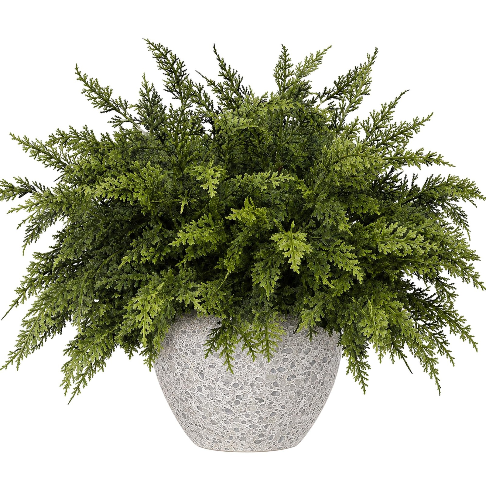 10 Pcs 17 Inches Christmas 2 Color Cypress Branches