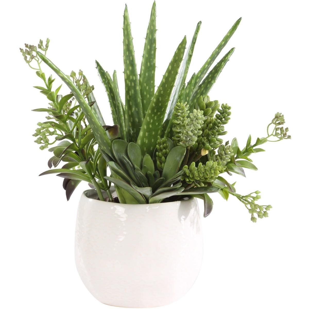 Uttermost 60244 Sundown Succulent Green and White Succulent Accent Planter