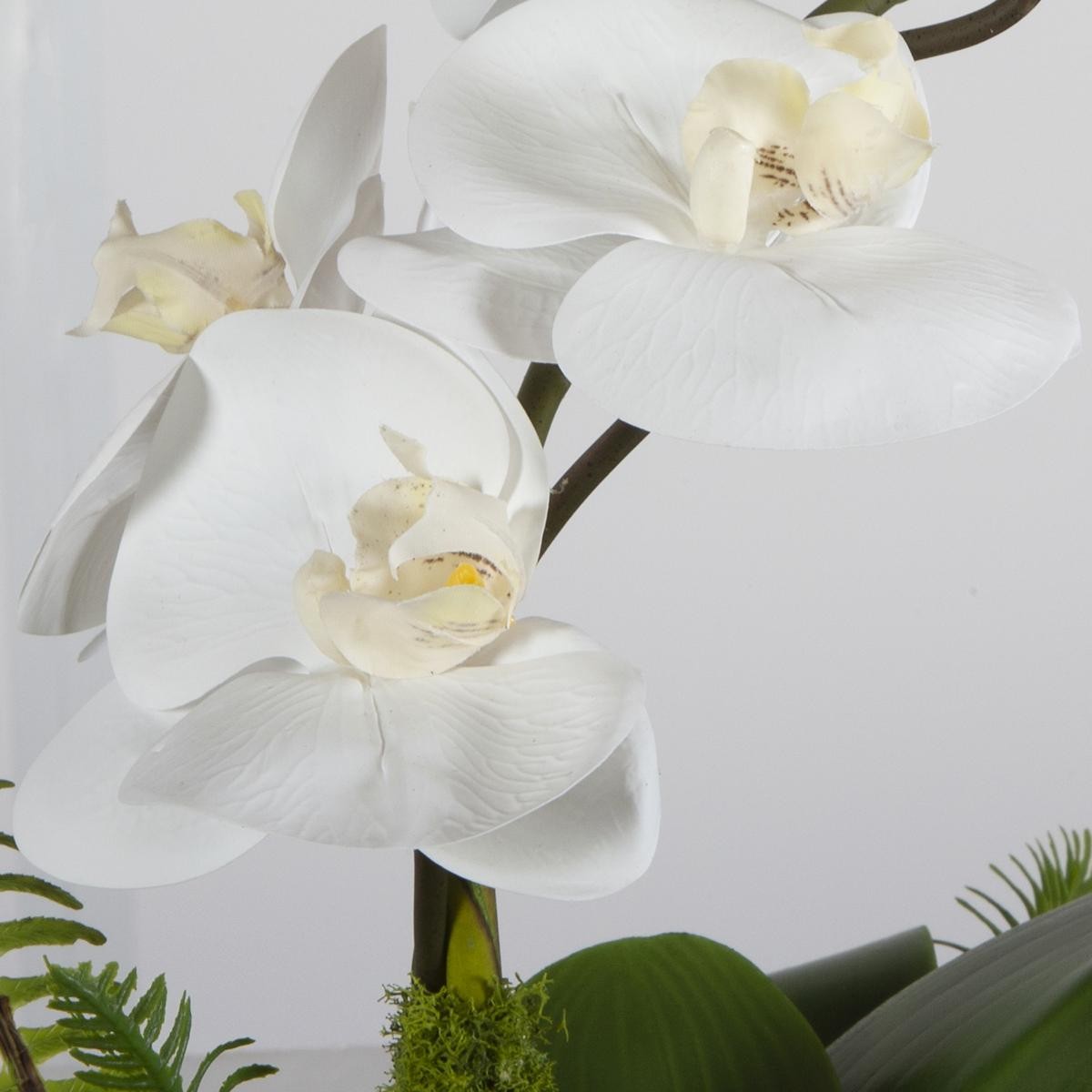 Uttermost 60207 Transcend Antique Brass Orchid Centerpiece