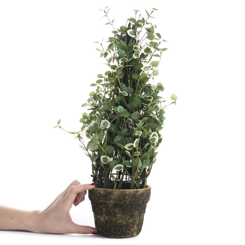 Set of 2 Artificial 18″ Variegated Ivy in Faux Terra Cotta Planters