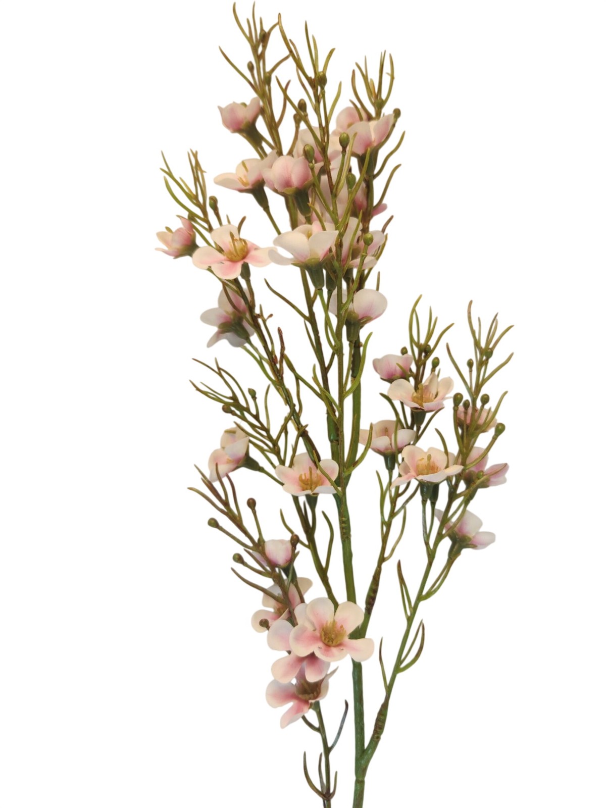 Blush Pink Dogwood Stems Two Tone Wax Flower Faux Floral Pink White Tips Wedding