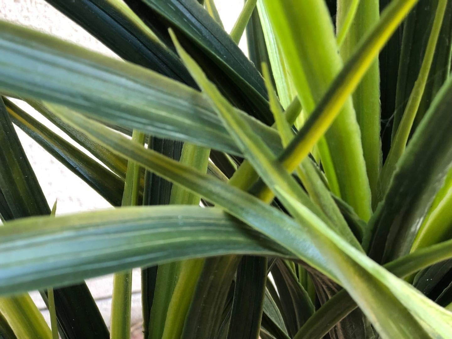 Lifelike 3.5ft Tropical Green Yucca Plant with Pot – 160 Realistic Leaves