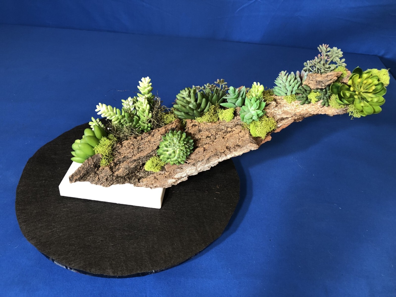 Artificial Succulent Air Plant Home Office Mounted on Real Wood Bark and Stone