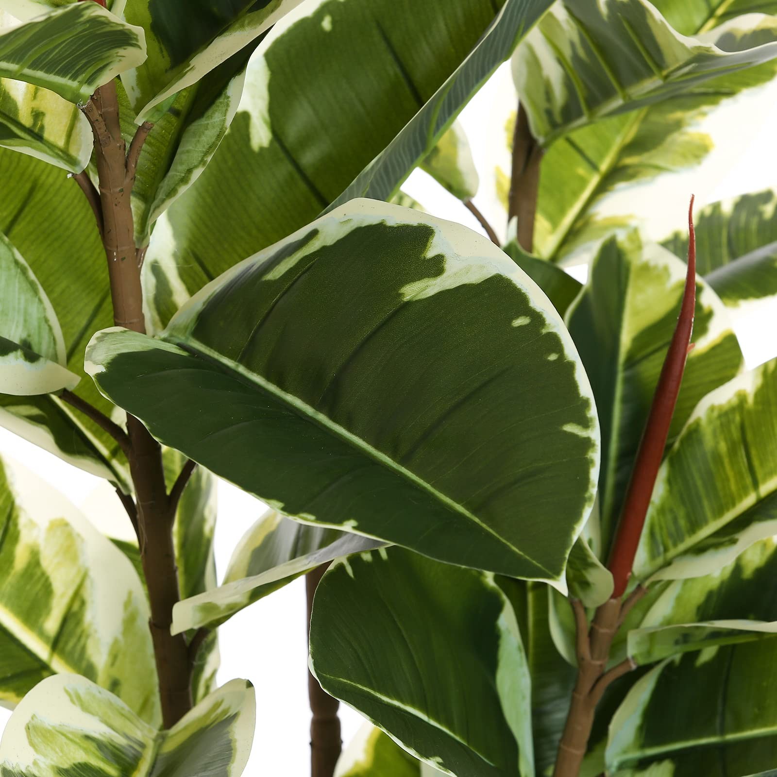 Artificial Rubber Tree Plant 6ft Tall Faux Ficus Tree Potted Fake Tropical Pl…