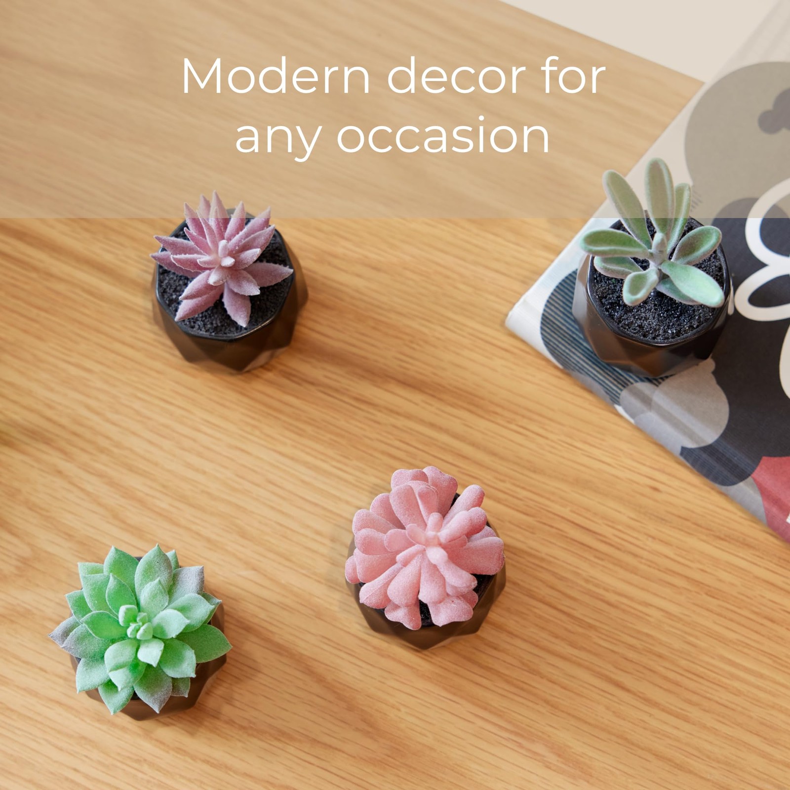 Nordik Set of 4 Desk Plants – Geometric Round Black Pots – Perfect for Bathro…