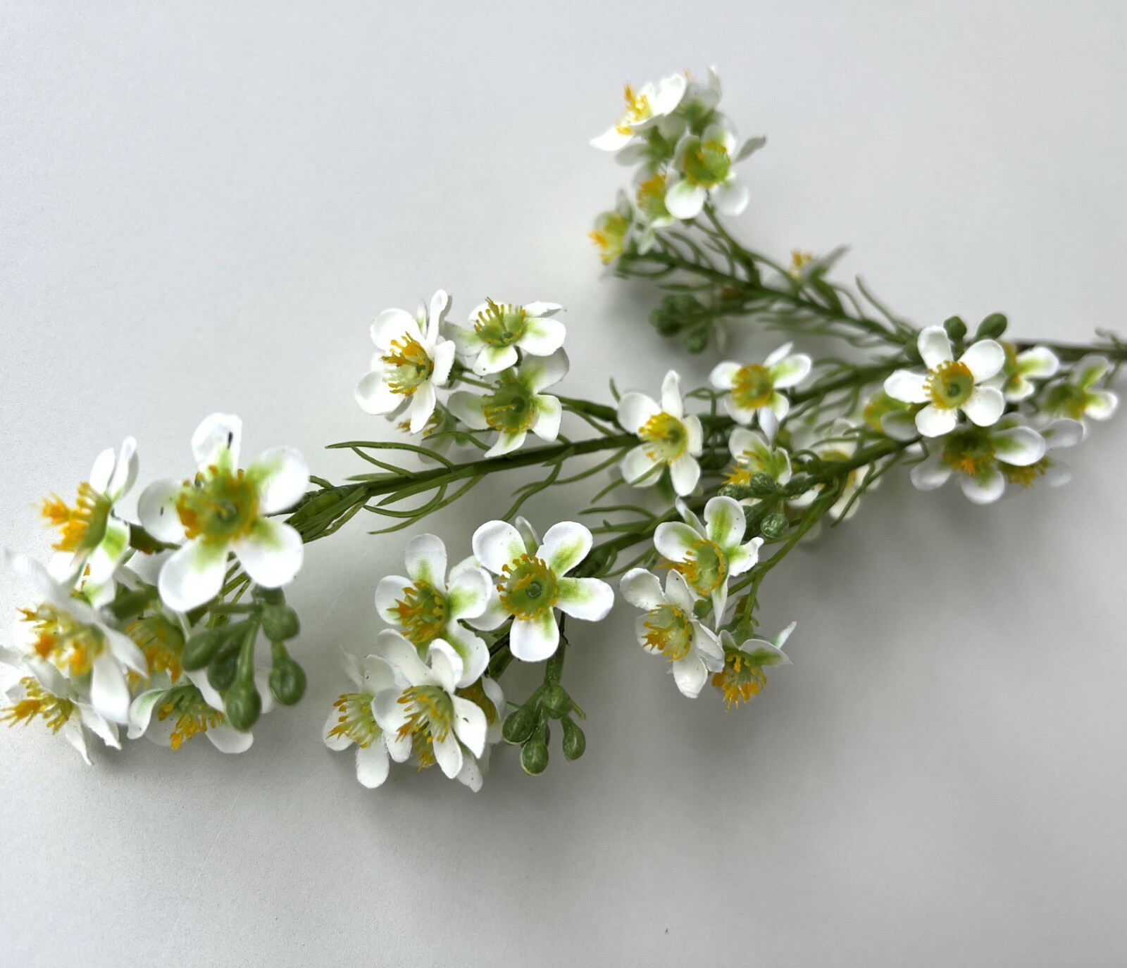 Geraldton Wax Flower Australian Native Flowers White Green Wax Stem Artificial 1