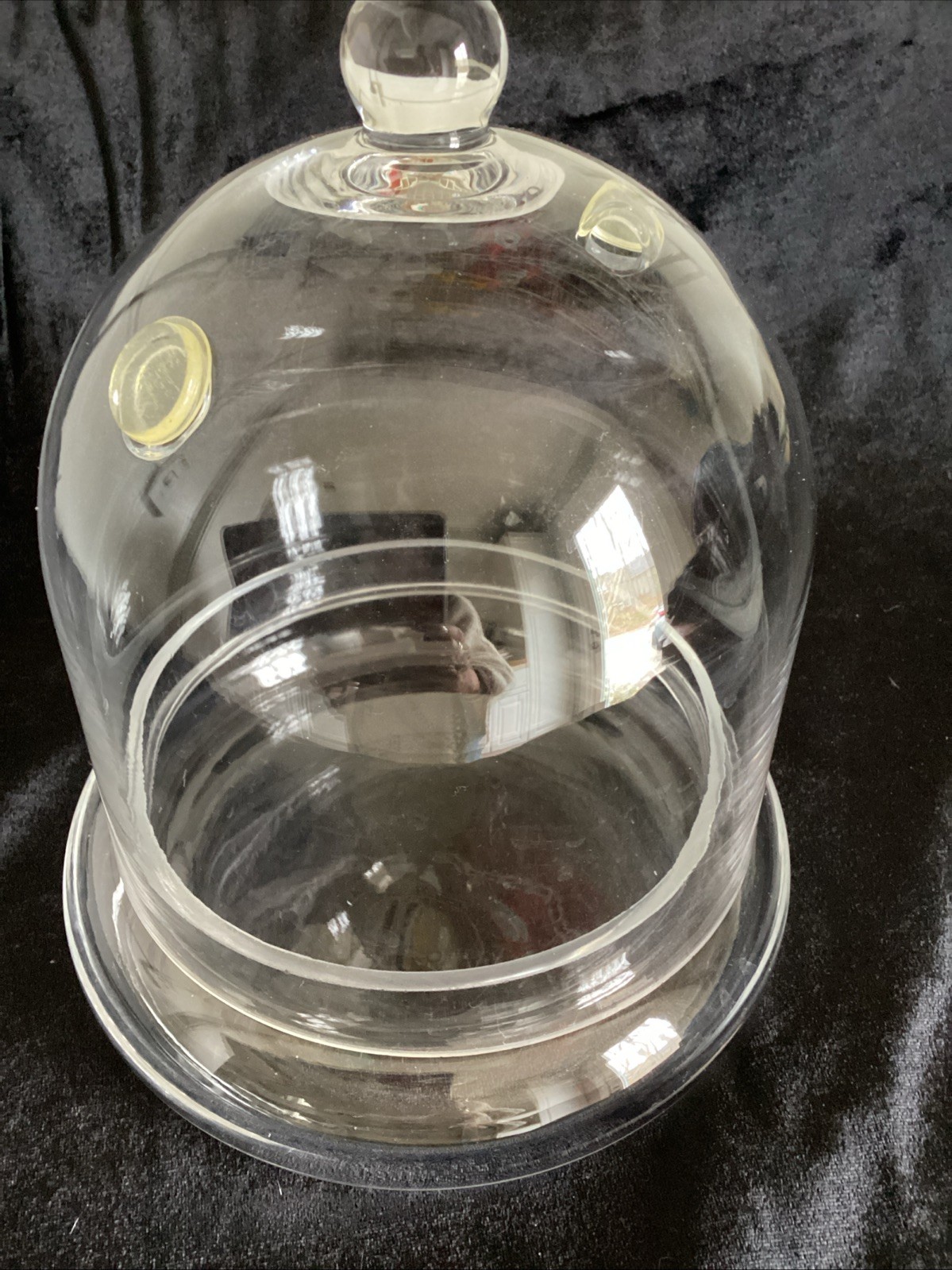 7×7 inches Glass Cloche and Base Small Terrarium with 2 Air Holes Display Case