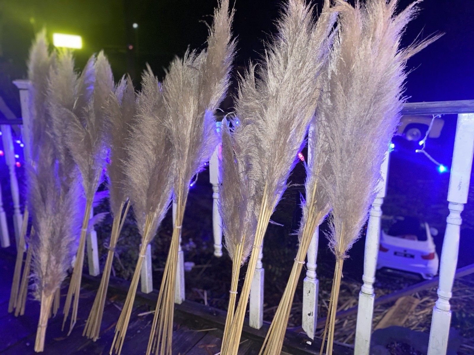 Pampas Grass Dried Stems 10-Pack, 40″ Natural Decor for Floor Vase