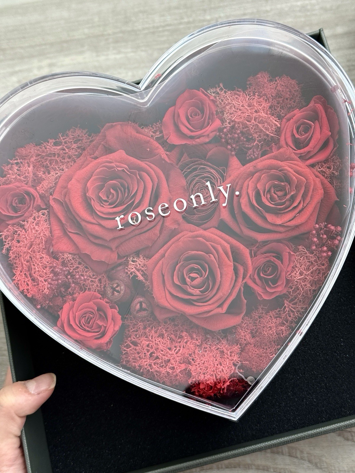 Red Eternity Rose Brand New Valentine Gift