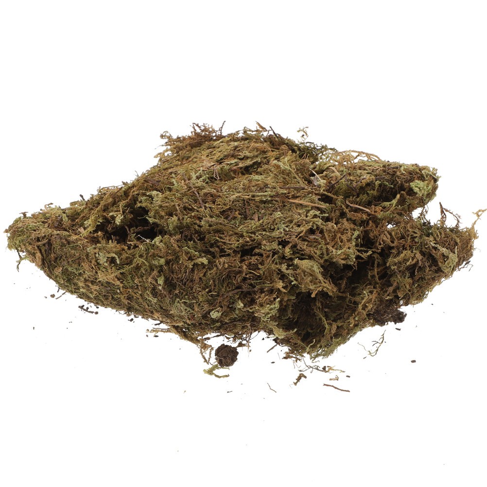 2 Packs Decorative Dried Moss for DIY Durable Green Moss for Gardening Bonsai