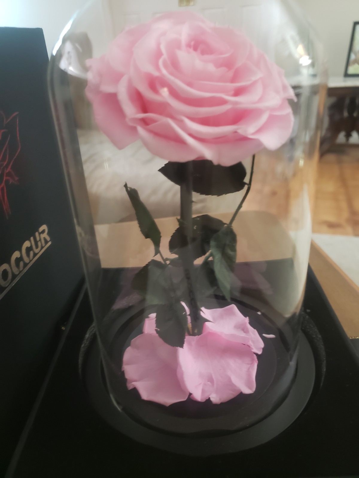 Livoccur Preserved Pink ROSE in Glass DOME 4.7″×4.7″×7.5″ Stand Gift of Love