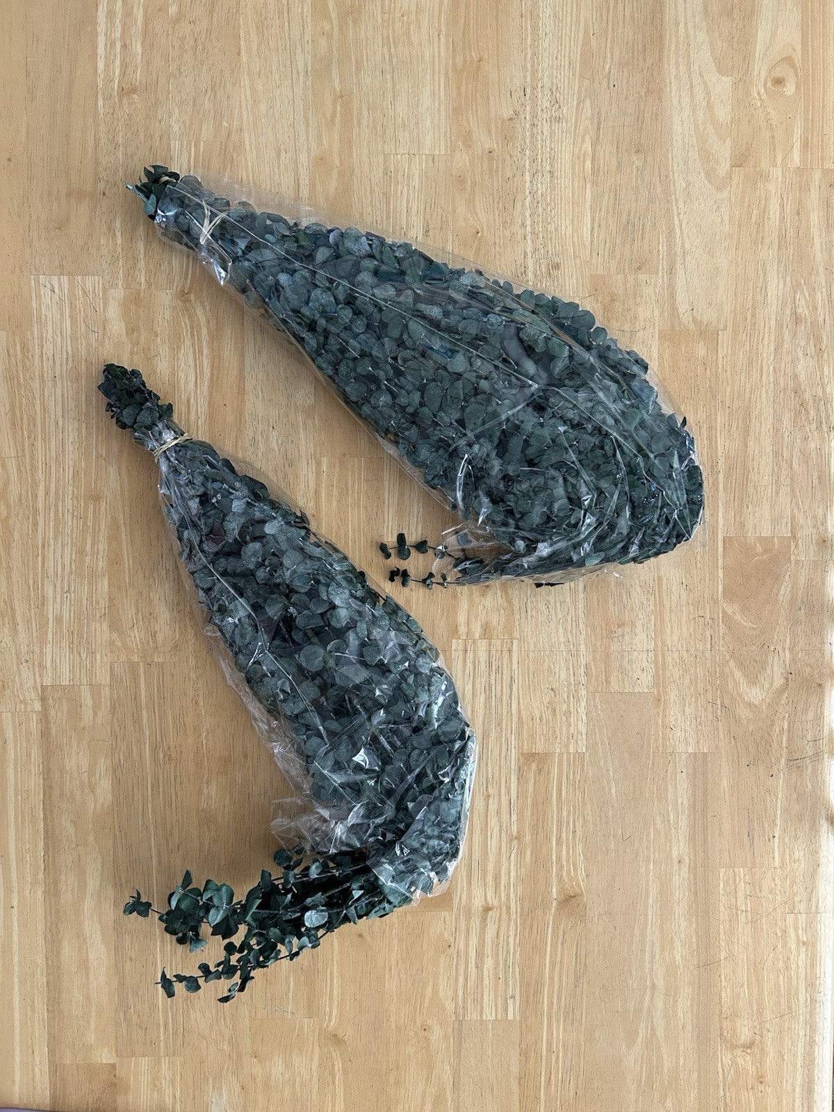 Sola Wood Flowers Eucalyptus Preserved Flowers Set of 2