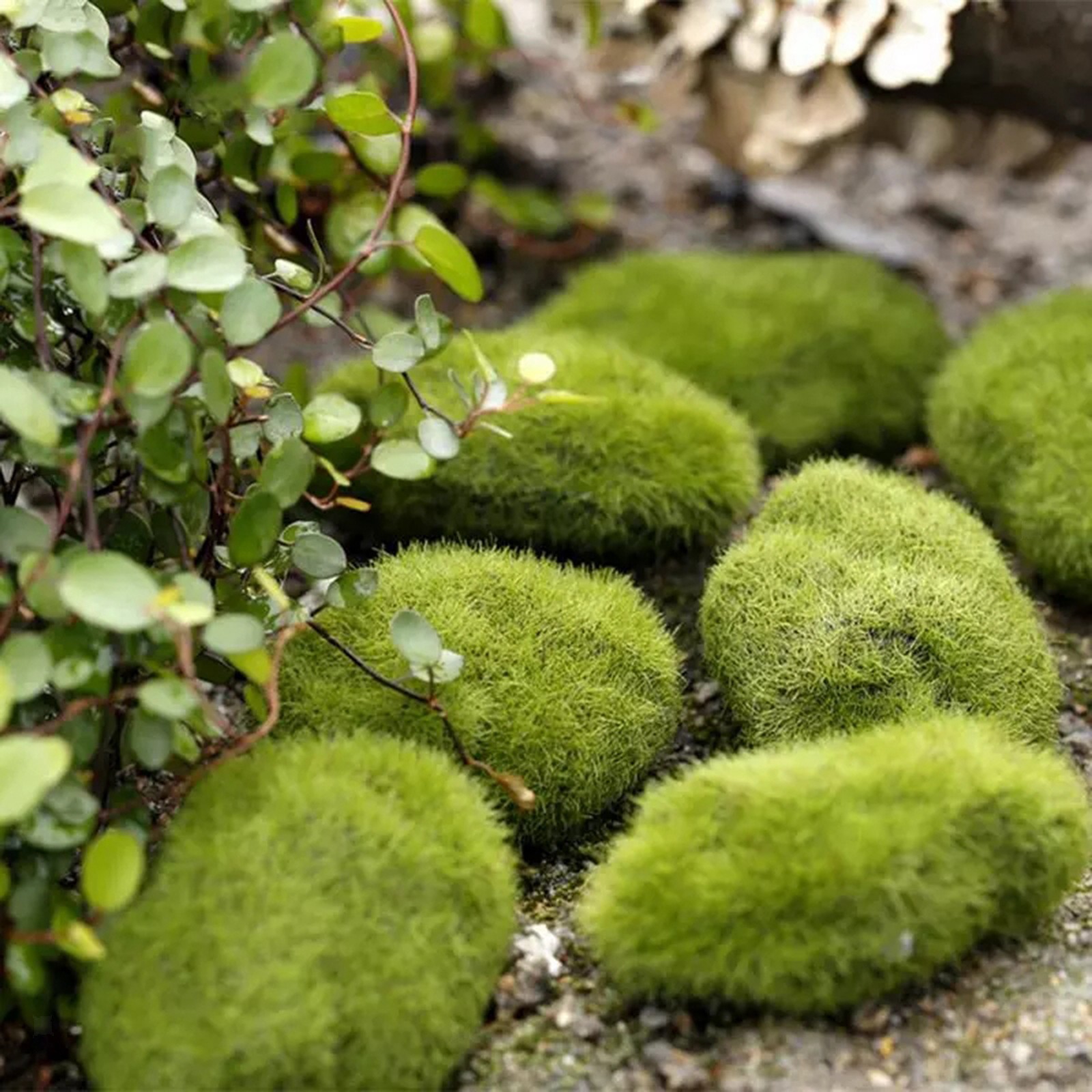 8 Pcs Artificial Rocks Model Decorative Faux Green Assorted