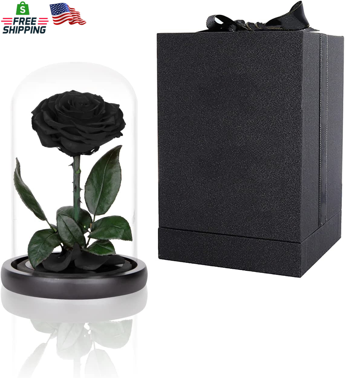 Preserved Roses Black Roses in Glass Dome, Medium, Preserved Flowers for Women