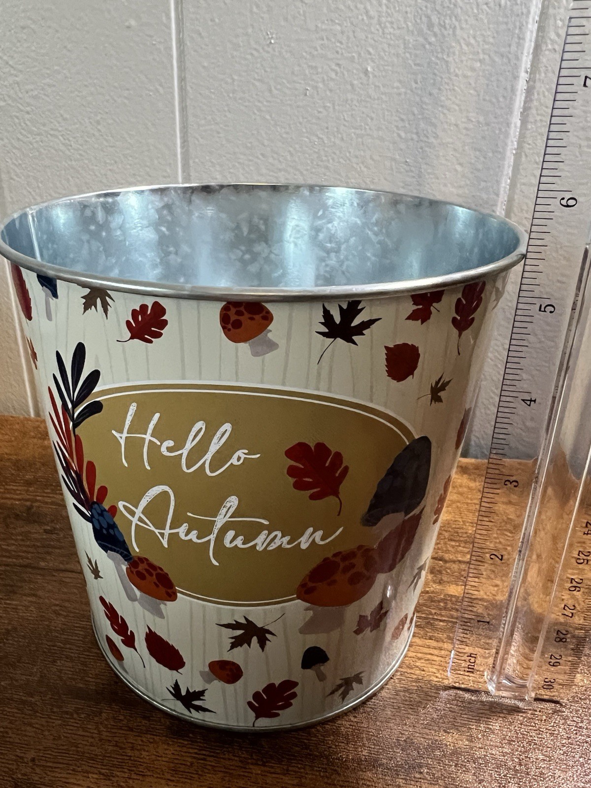 2 Round Tin, HELLO AUTUMN, Fall Flowerpot Can, Home Decor W/ 2 Ceramic Pumpkins