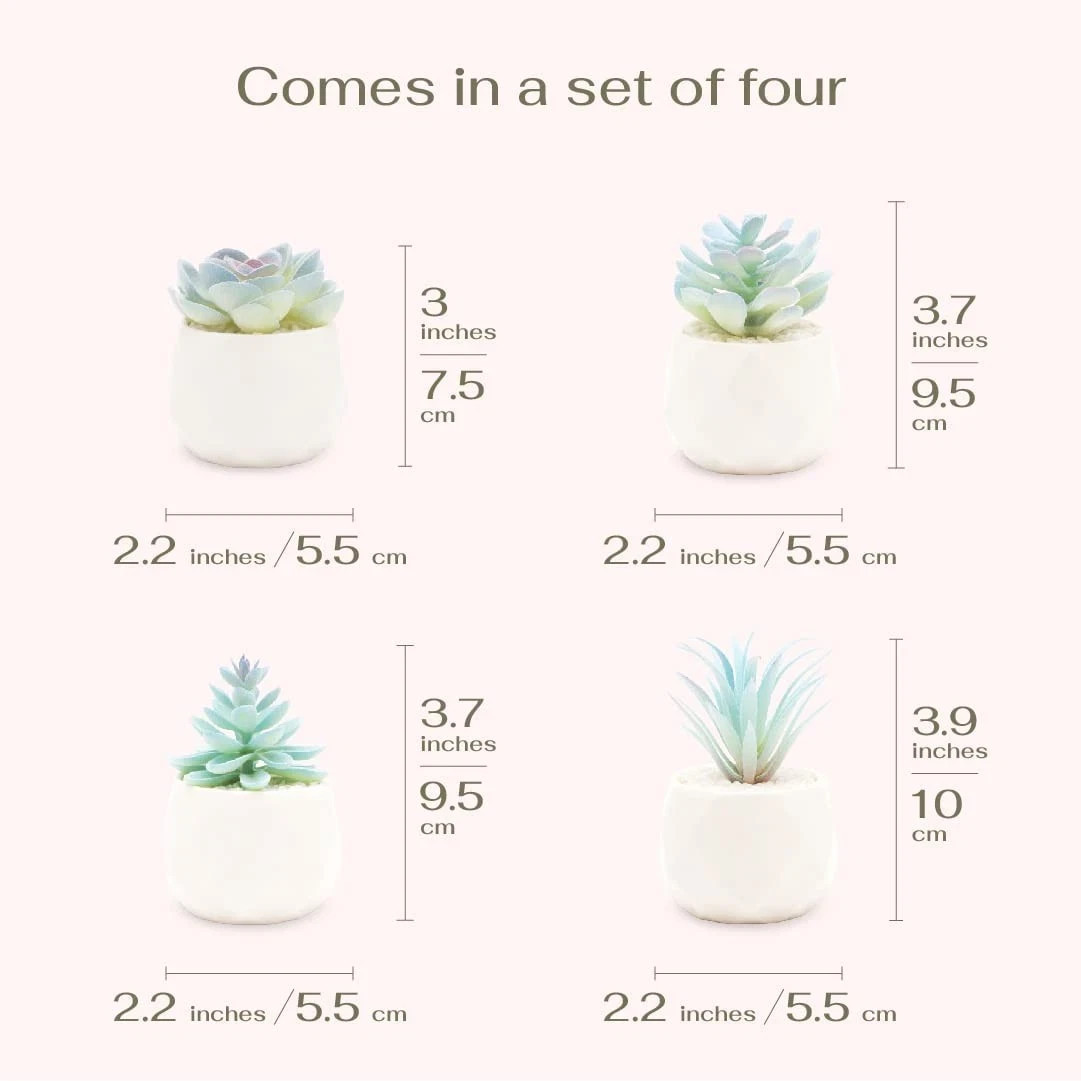 VIVERIE 4-Pack Mini Artificial Succulents ~ Blue Plants w/White Ceramic Pots NEW