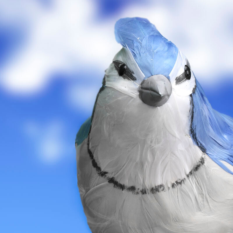 Artificial 20″ Large Feathered Blue Jay Bird with Wired Feet