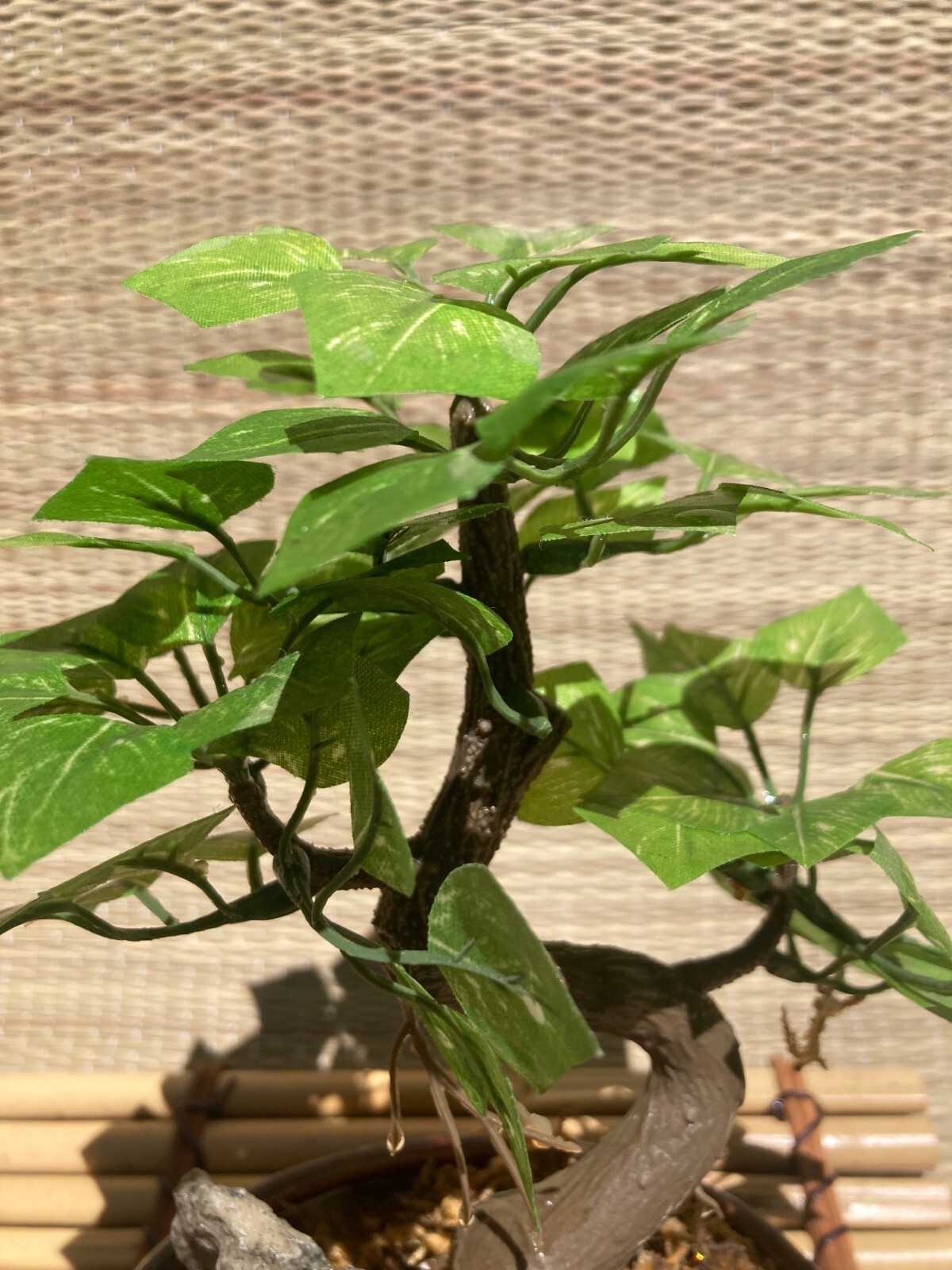 Artificial Bonsai Tree, Faux Potted Plant Display Ceramic Pot