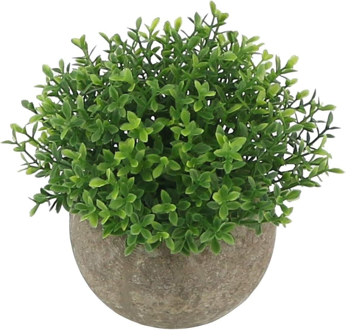 Elegant Mini Faux Plants in Ceramic Pots – Perfect for Home & Office Decor