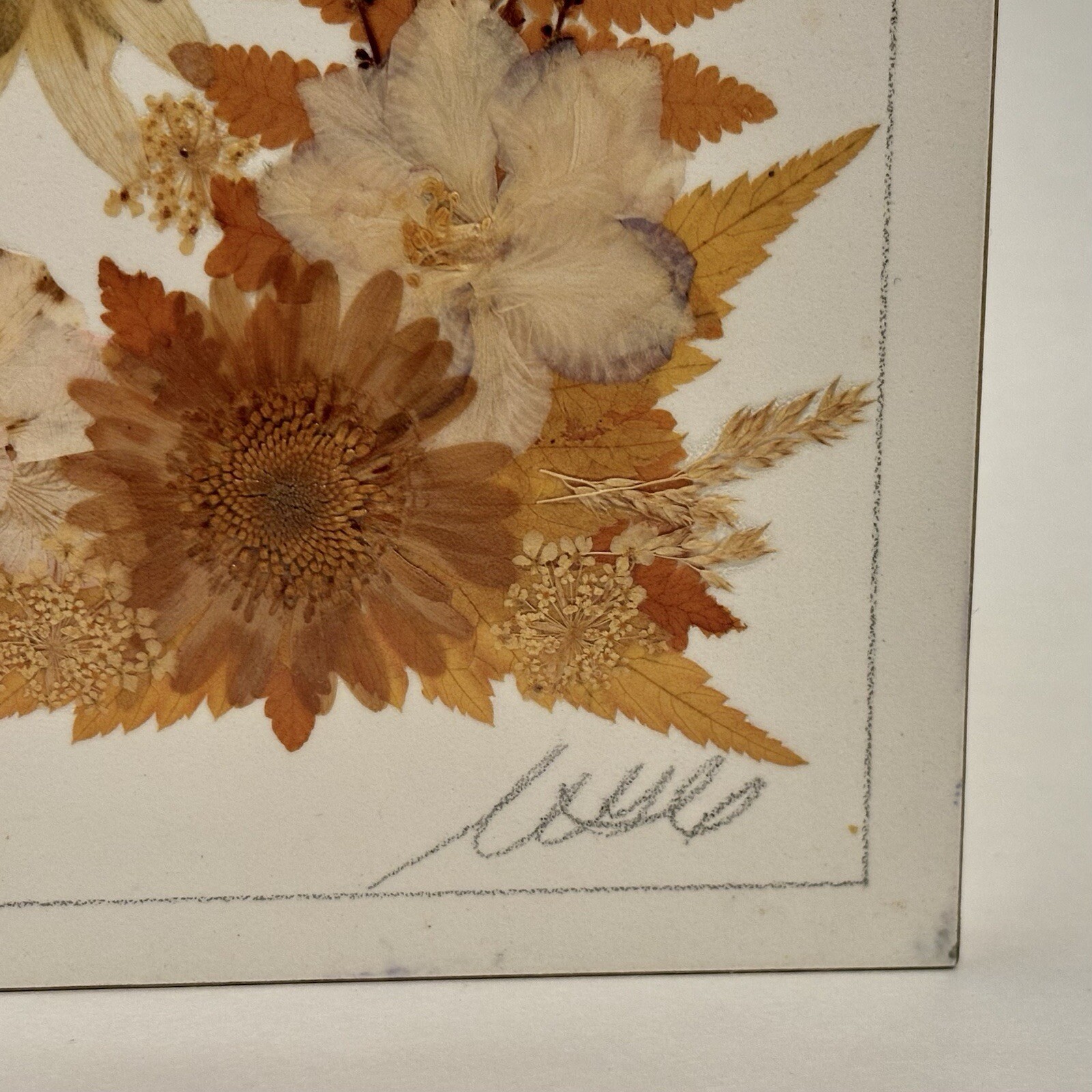Country Girl Creations Naturally Preserved Flowers Leaves Wall Art Canada 6.5″