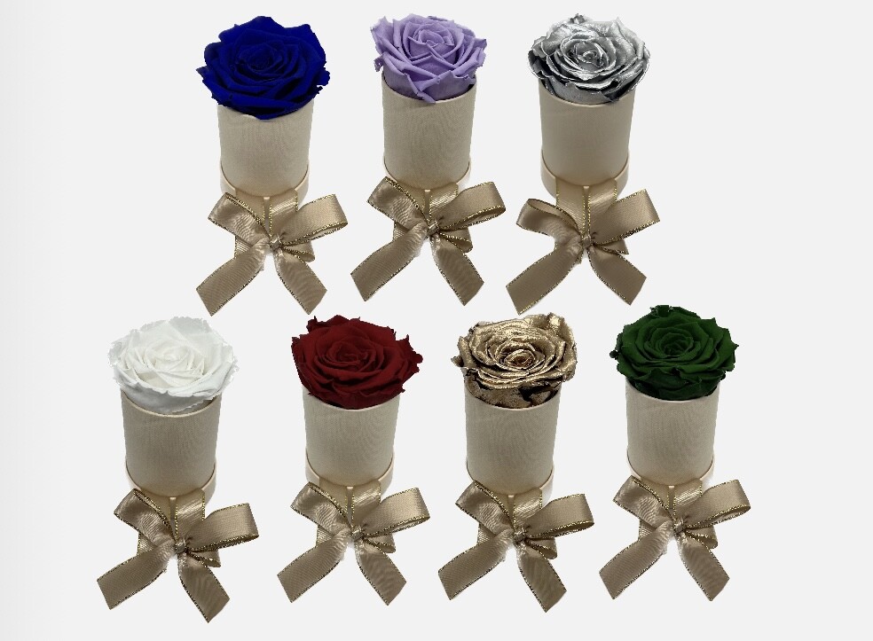 Preserved Rose in Gift box | High Quality Preserved Rose from Ecuador